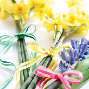 Everything for a crafty Spring; ribbons, fabric, craft kits, buttons and trims