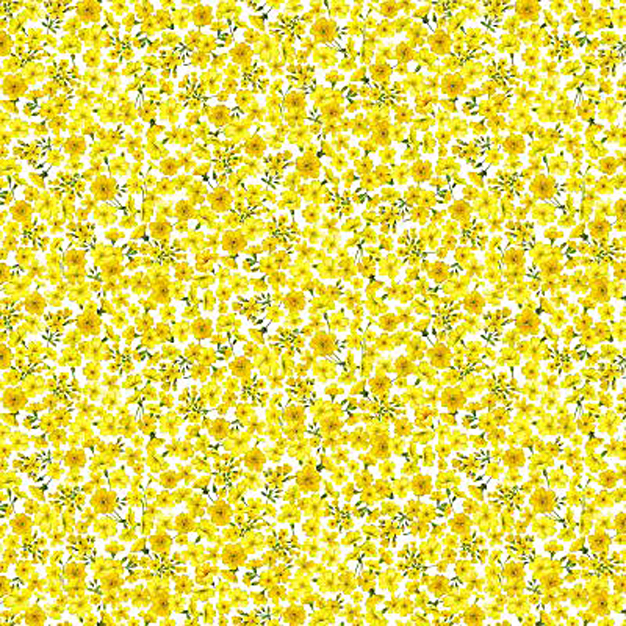 Tonal Floral Cotton Fabric - Yellow - Makower 2547/Y - Summer Days