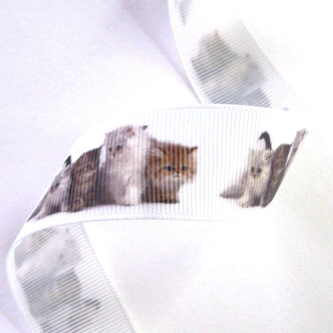 22mm Kittens on White Ribbon - Grosgrain