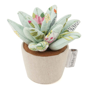 Pincushion Succulent Plant Life - Hobby Gift PCSUC\511